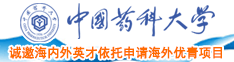 日韩操BB网站中国药科大学诚邀海内外英才依托申请海外优青项目